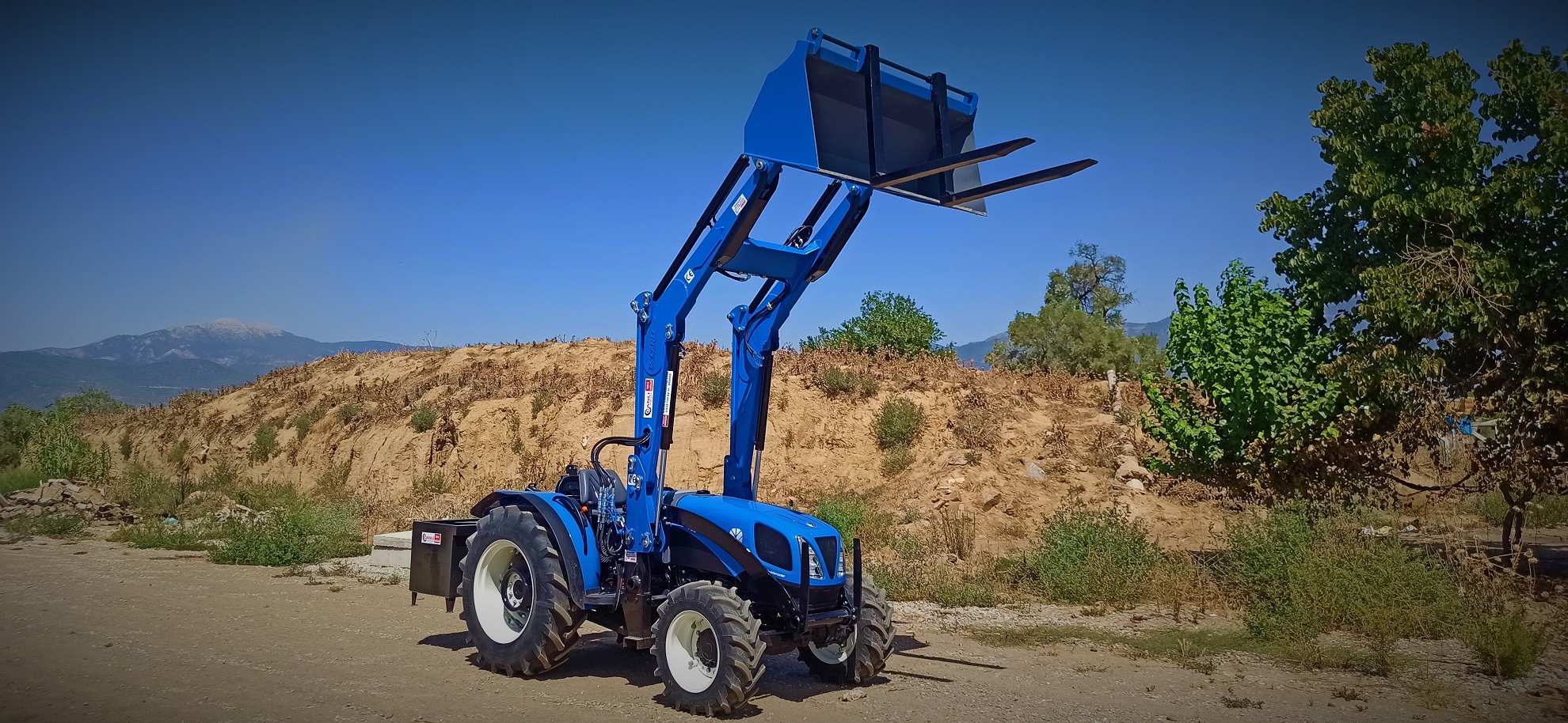 büyükbalş hayvancılık tesisleri bolu