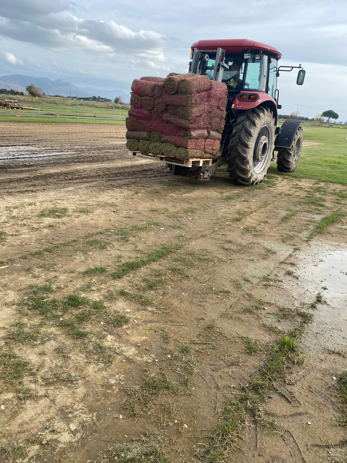 hazır rulo çim üretimi izmir