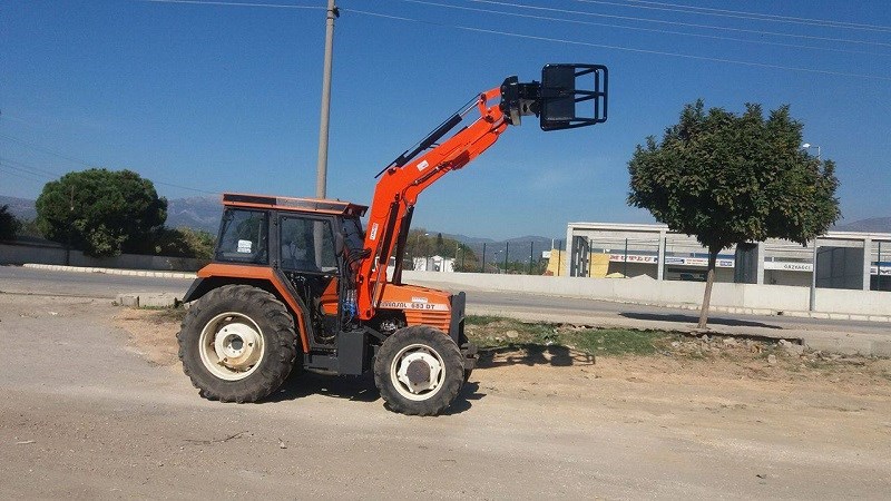 kars canlı hayvan pazarı