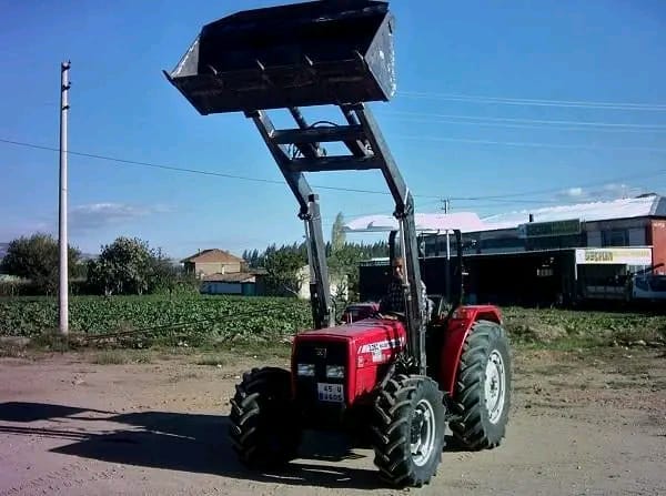 zeytinyağı üretimi türkiye