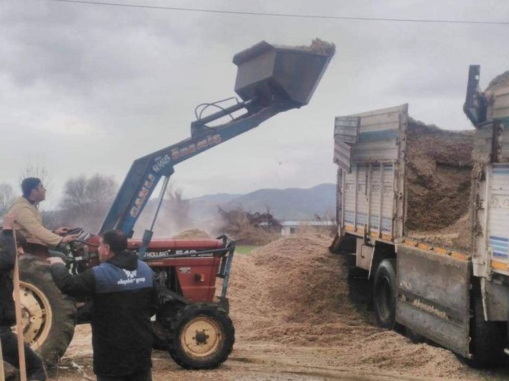 büyükbaş hayvancılık muğla