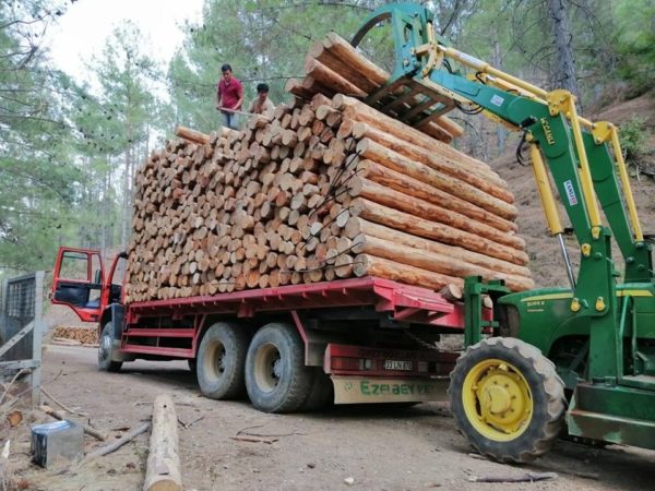 log loading with john deere tractor and grapple