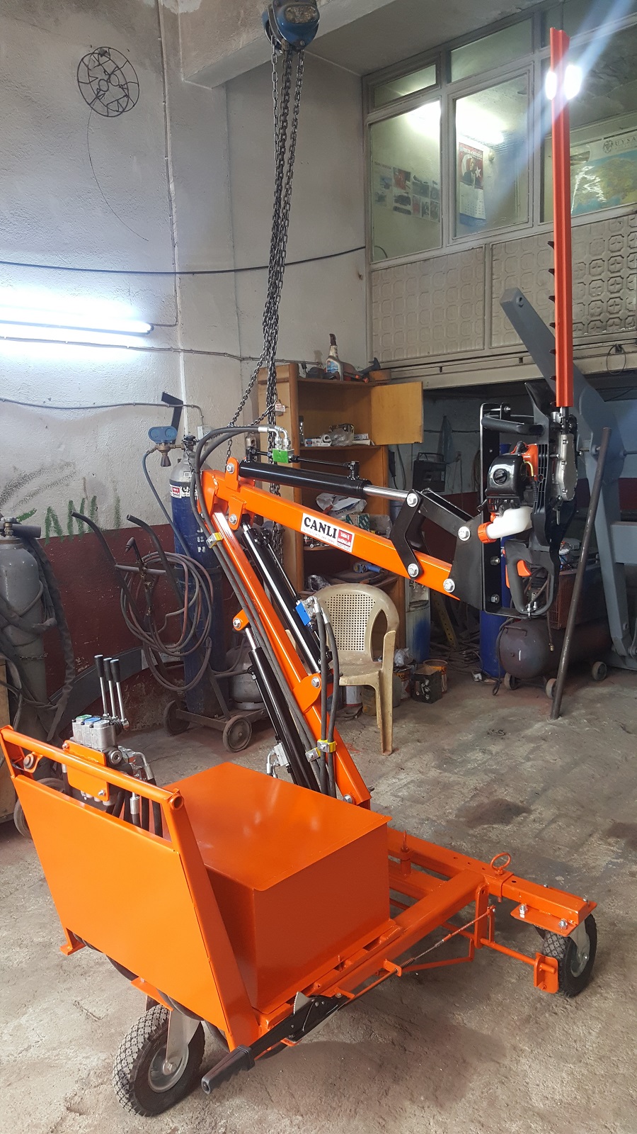 dış mekan süs bitkileri antalya