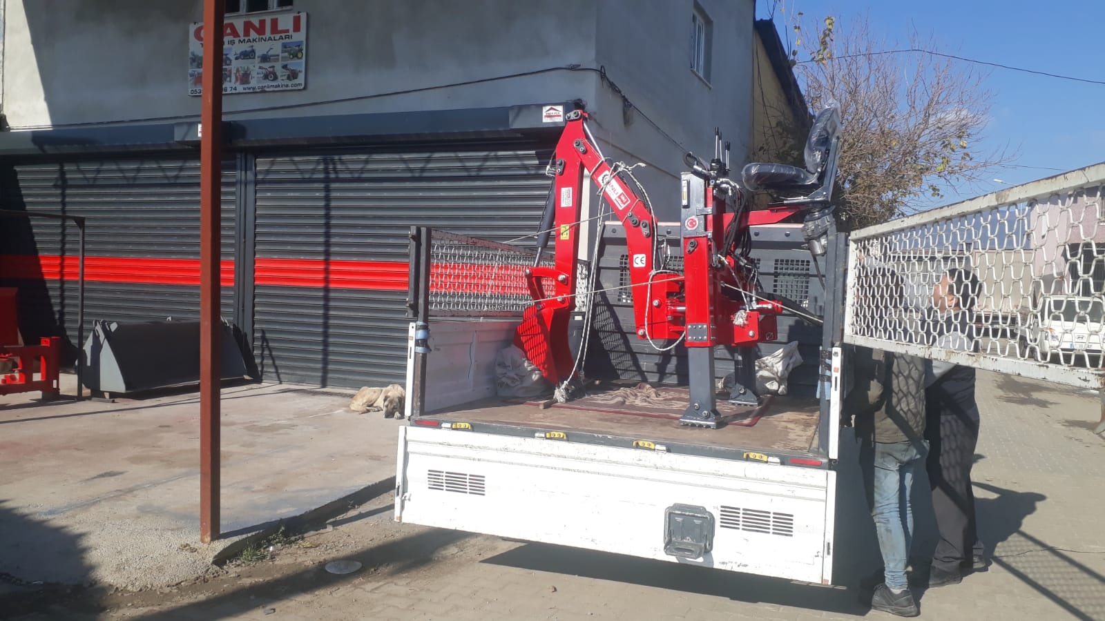 Muğla büyükbaş hayvancılık