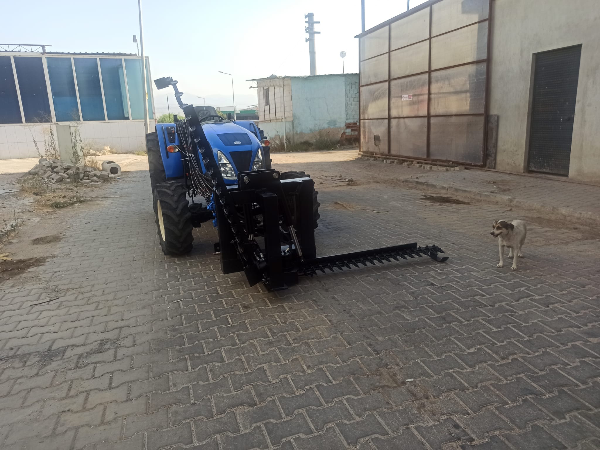 peyzaj firmaları,peyzaj hizmetleri