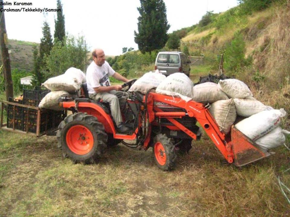zeytinyağı fabrikaları izmir